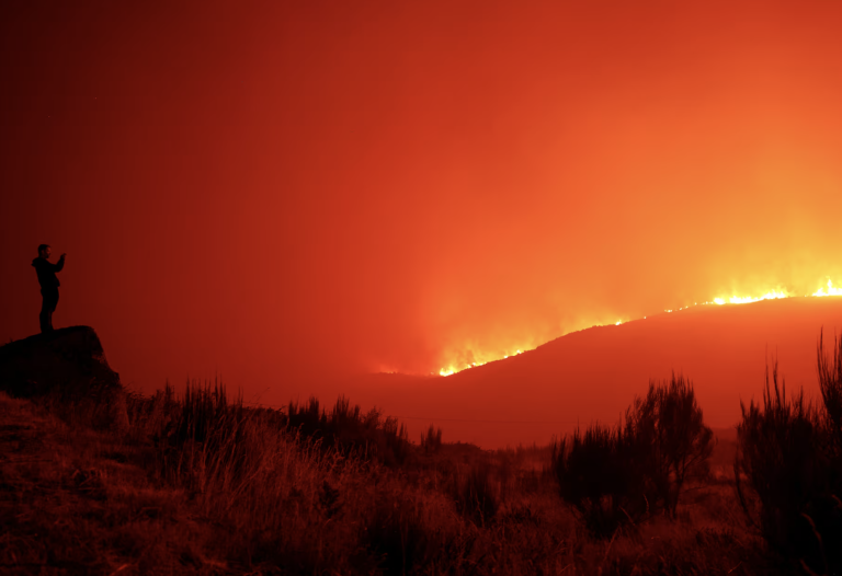 OMS: Numărul incendiilor de vegetație din Europa a crescut cu 57% în ultimii patru ani