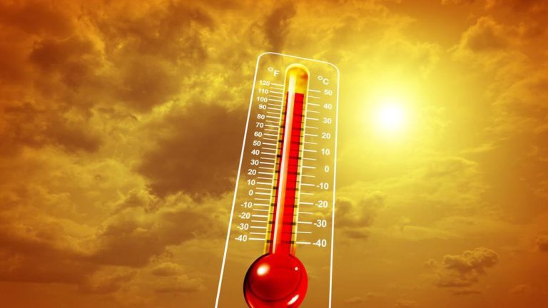 Vara anului 2025: Recorduri de temperatură şi precipitaţii înregistrate în mai multe zone din lume