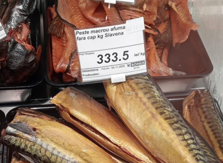 Macrou scumpit peste noapte: explicațiile Norvegiei, al doilea cel mai mare exportator de pește din lume