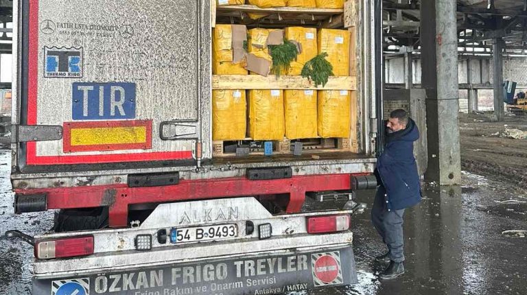 ANSA a distrus 15 tone de mărar de import contaminate cu pesticide
