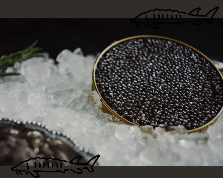 Primul caviar ecologic din lume: până la 8.000 de euro pe kilogram