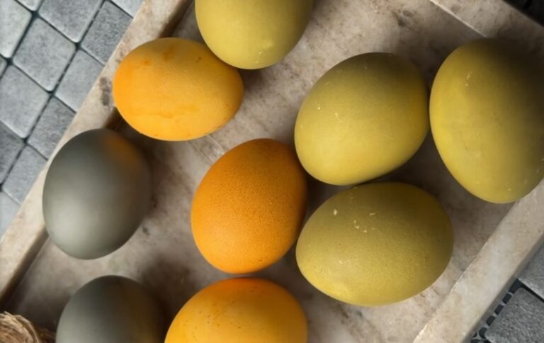 Idei pentru Paște: metode naturale de vopsire a ouălor