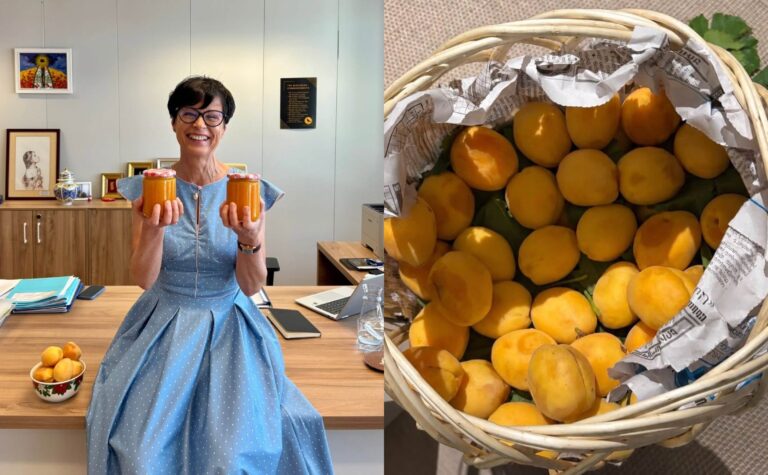Marta Kos, mesaj de susținere pentru Armenia: „Borcanele libertății” din caise armenești