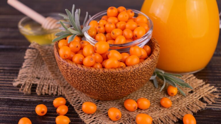 Cătina, „superalimentul” bogat în vitamina C. Ce beneficii are și cum poate fi folosită